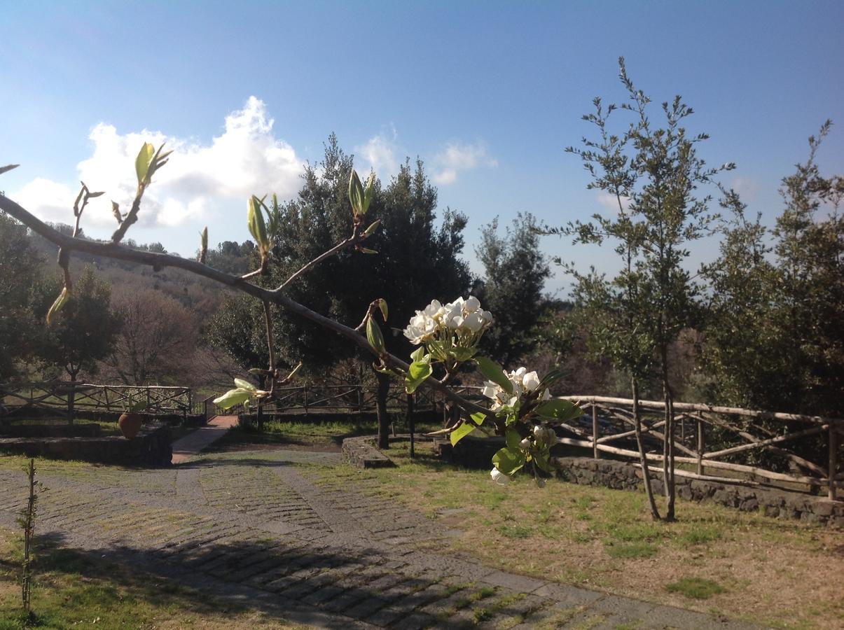 Le Cisterne Dell'Etna Hotel Calcerana-Marina Екстериор снимка